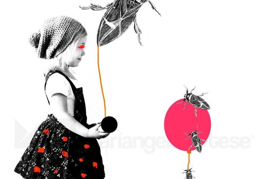 Arte e Cultura: Da oggi riparte ‘stART’ espone Mariangela Artese